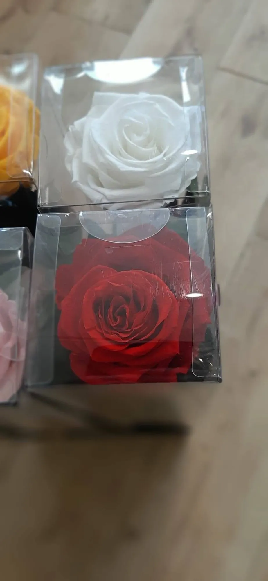 Balta un sarkana stabilizēta roze kastītēs tuvplānā